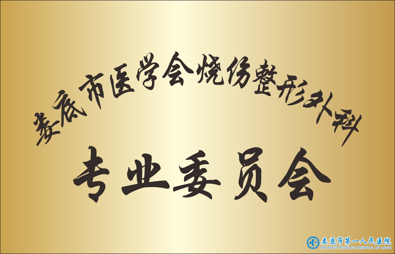 婁底市醫(yī)學(xué)會(huì)燒傷整形外科專業(yè)委員會(huì)